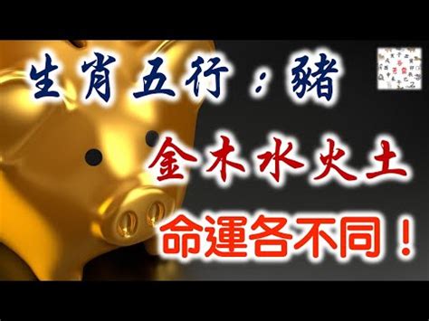 豬屬五行|【屬豬五行屬什麼】快看！解密屬豬五行屬性，掌握你的運勢密碼。